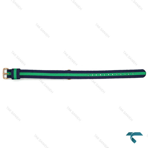 بند برزنتی دنیل ولینگتون زنانه سبز سرمه ای رز DW-Strap-8164-L